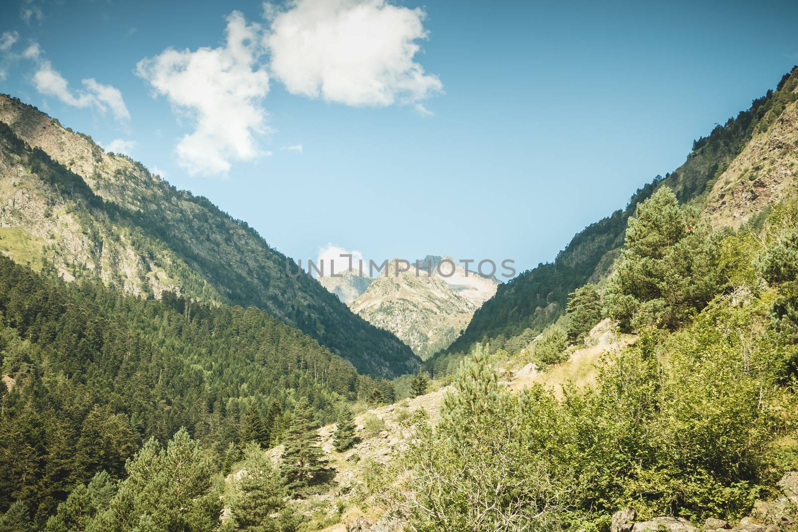 hiking path with trees and vegetation in the Pyrenees mountains by AtlanticEUROSTOXX