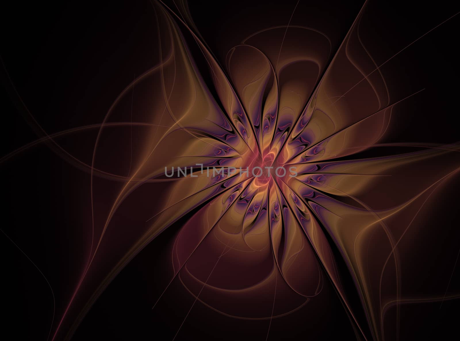 Beautiful soft fractal flower on dark background. Computer generated graphics. Abstract floral fractal background for art projects