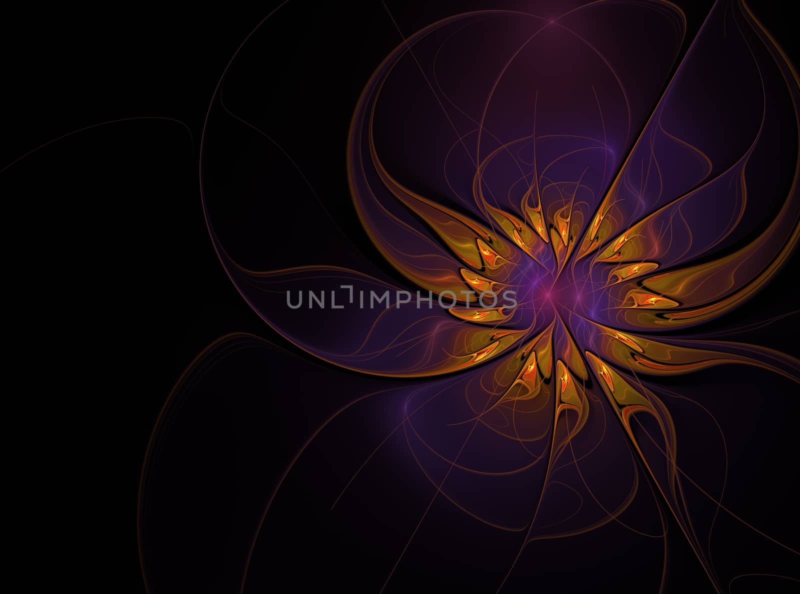 Beautiful fractal floral art on black background. Computer generated graphics. Abstract floral fractal background for art projects