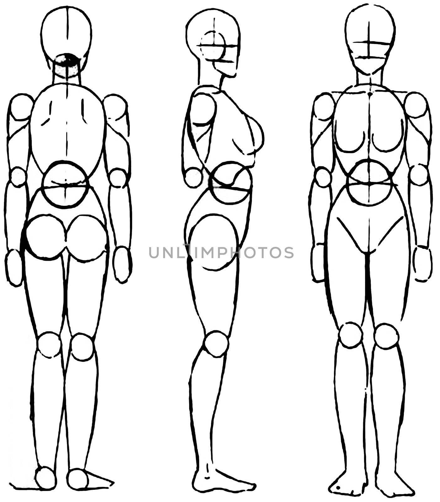 Tutorial of drawing female body. Drawing the human body, step by step lessons. by DePo