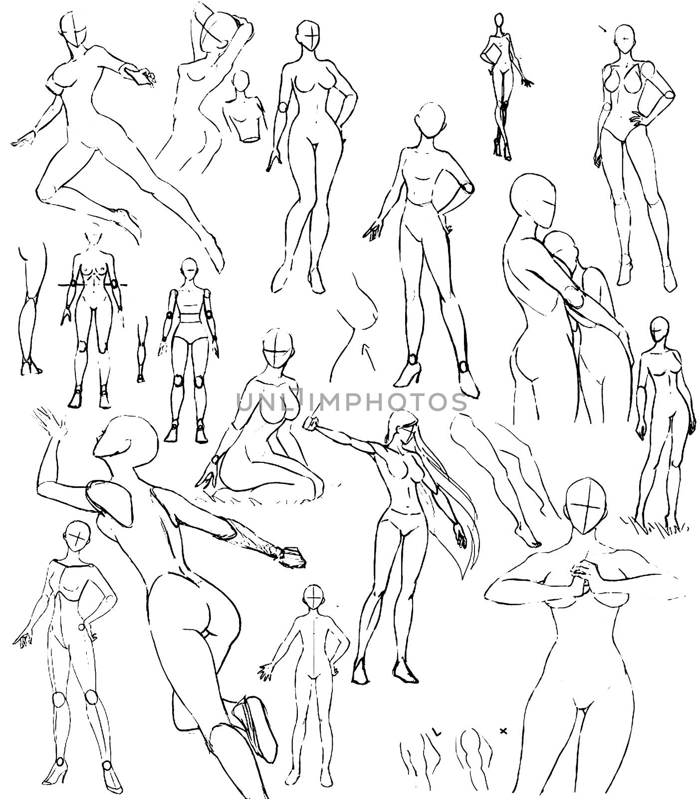 Tutorial of drawing a female body. Drawing the human body, step by step lessons.