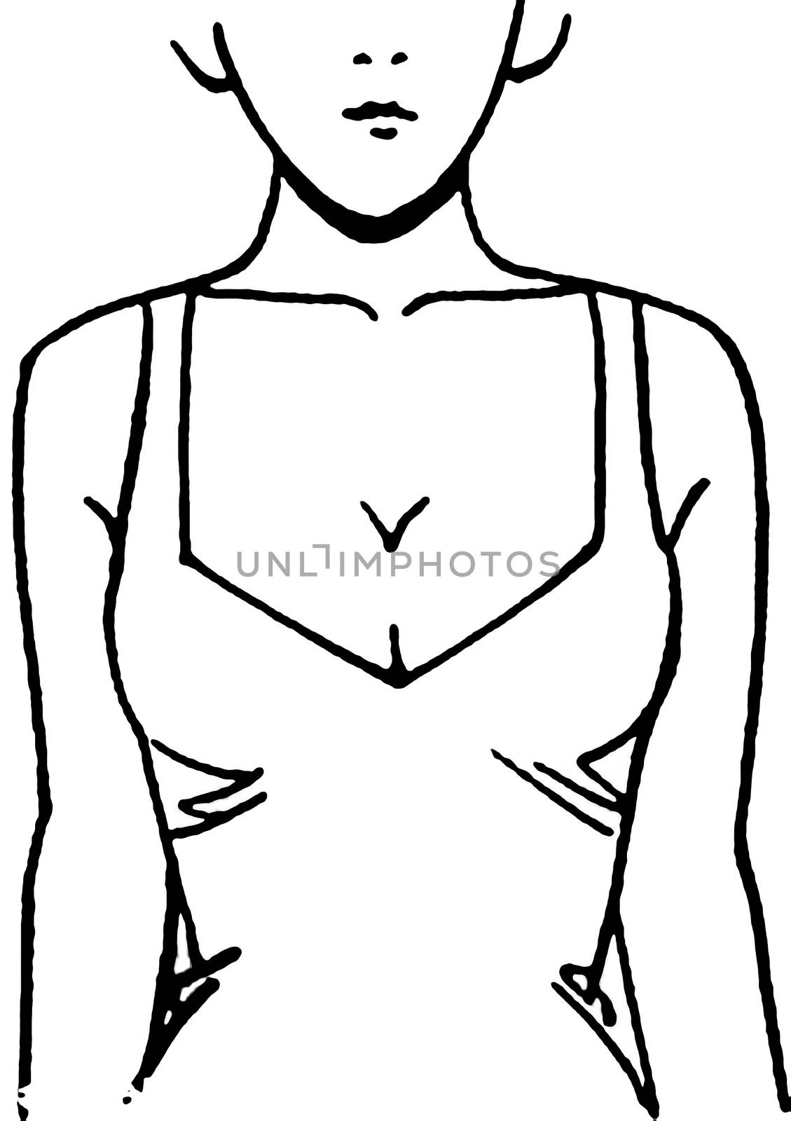 Female breast drawing tutorial. Drawing a woman's body with an emphasis on breasts. by DePo