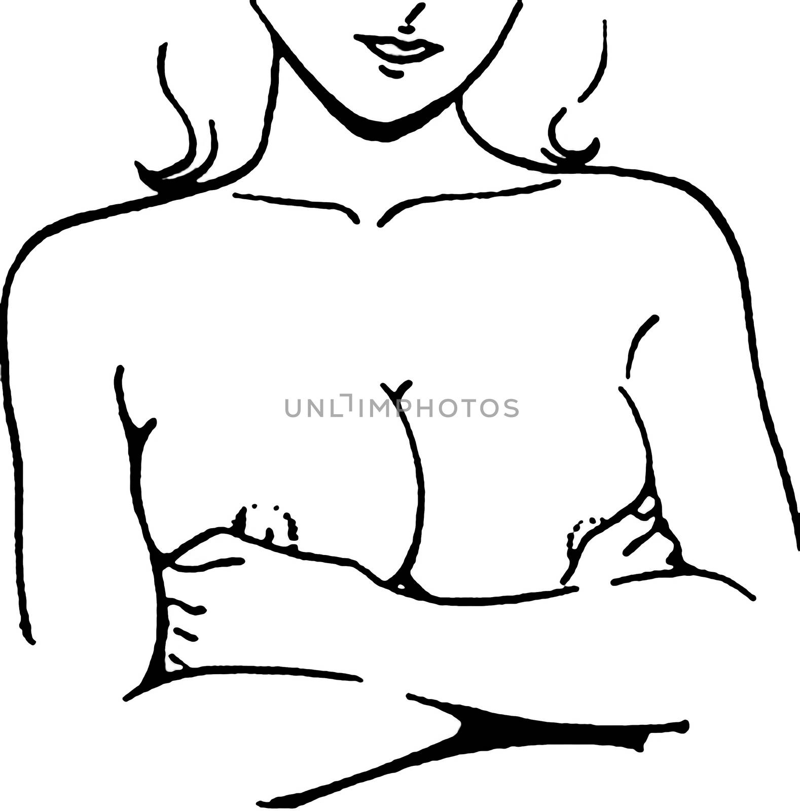 Female breast drawing tutorial. Drawing a woman's body with an emphasis on breasts. by DePo