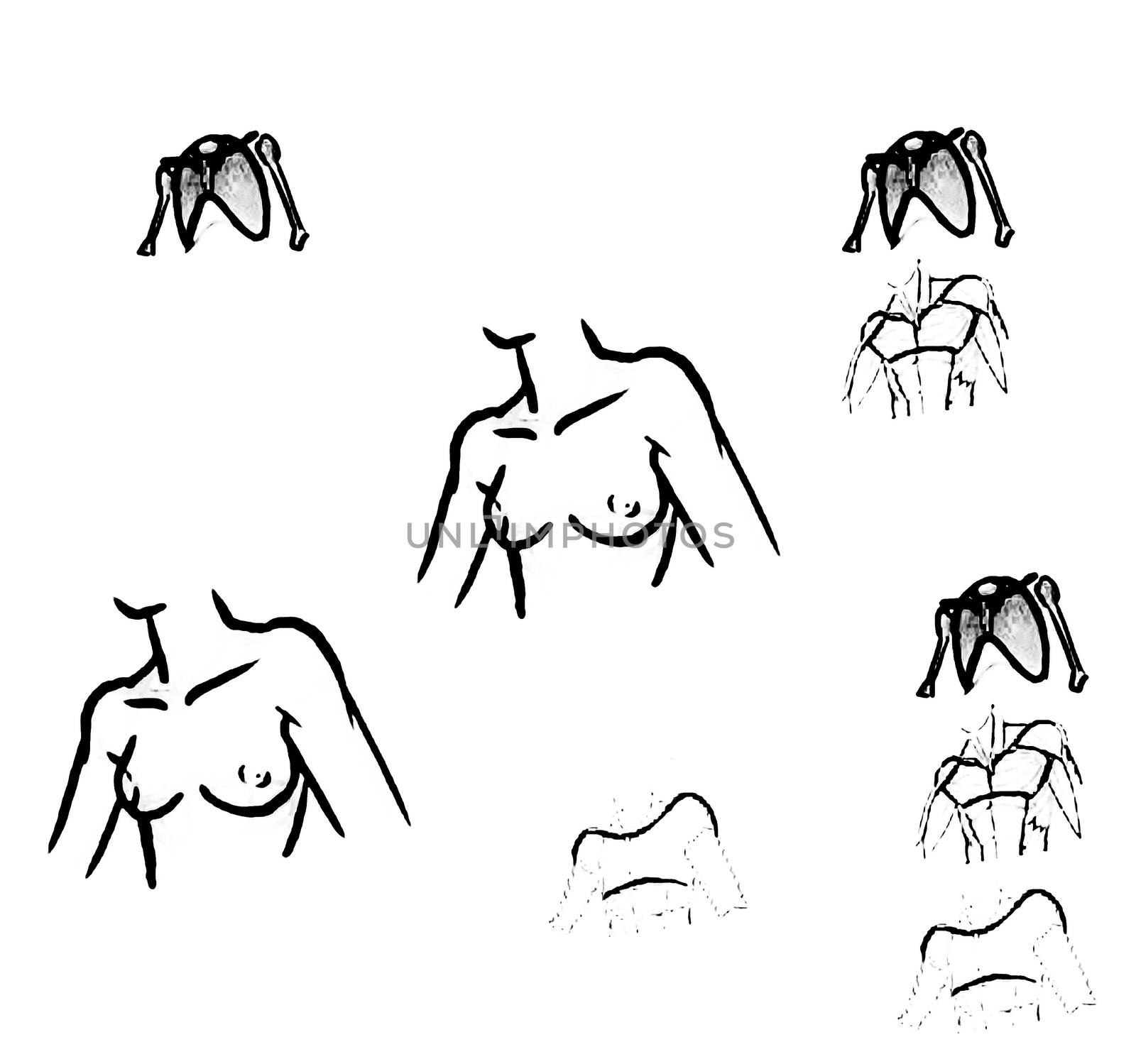 Tutorial of drawing a female body. Drawing the human body, step by step lessons. Female breast drawing tutorial. Drawing a woman's body with an emphasis on breasts.