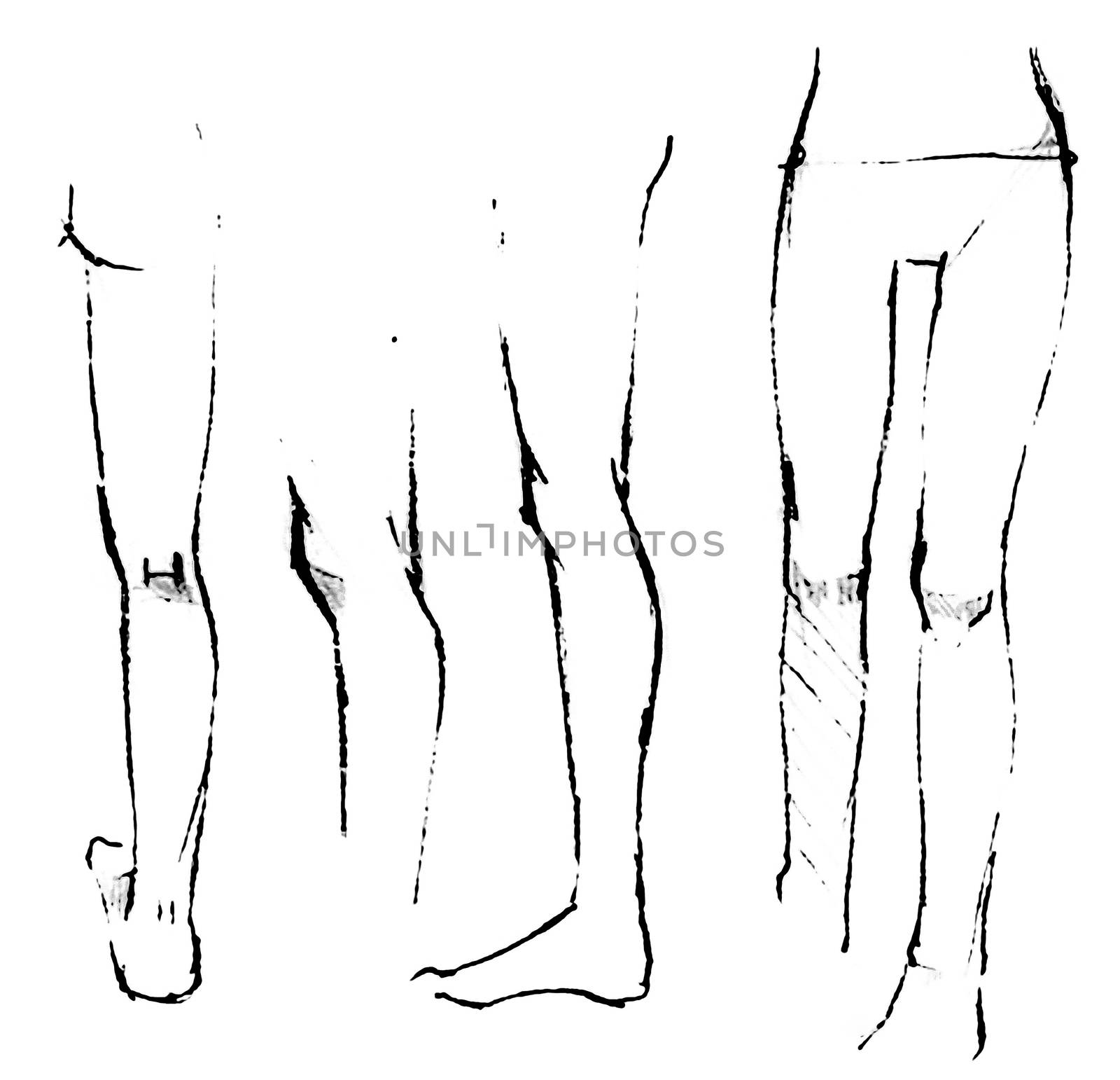 Women's legs. Tutorial of drawing a female body. Drawing the human body, step by step lessons.