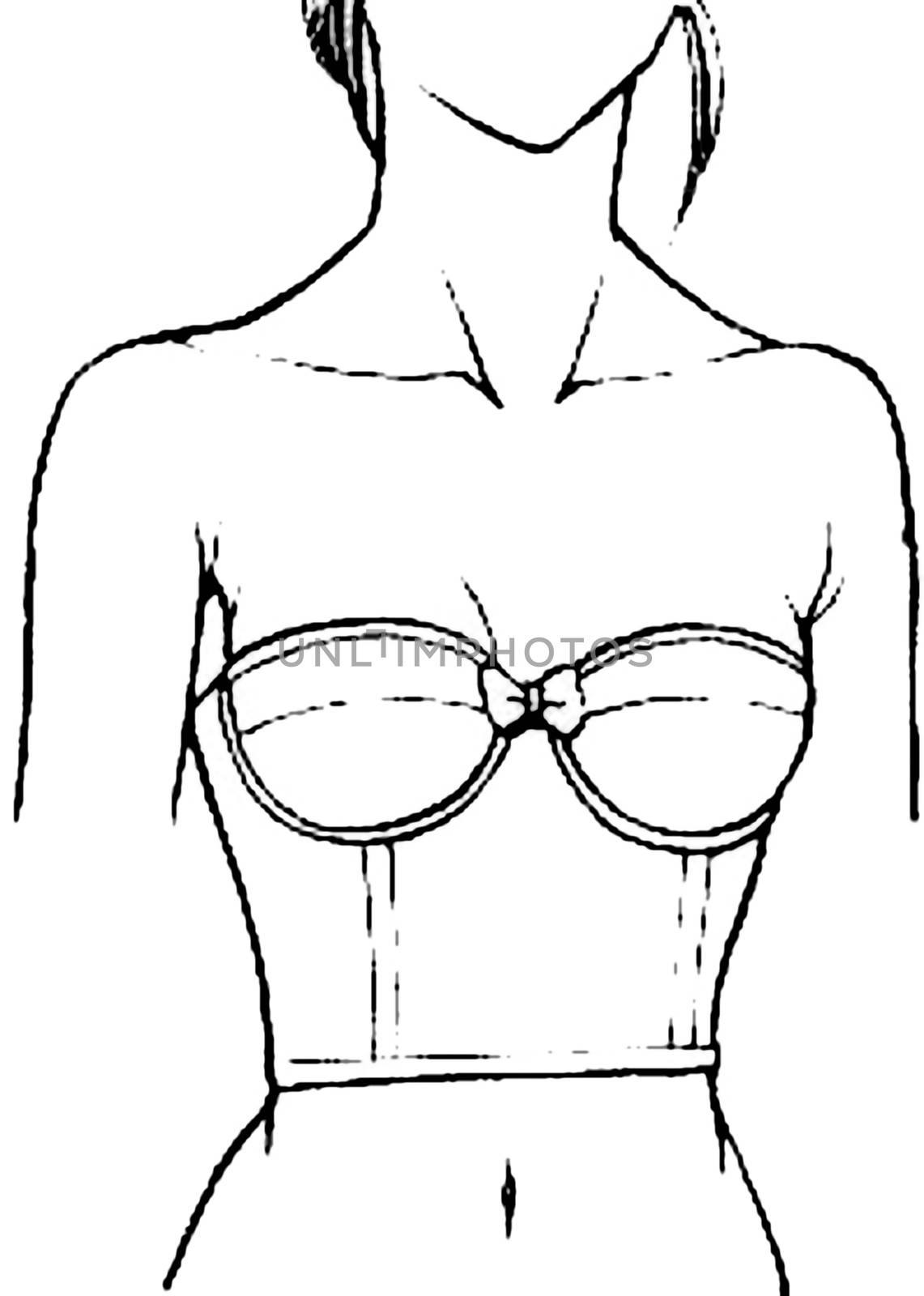 Tutorial of drawing a female body. Drawing the human body, step by step lessons. Female breast drawing tutorial. Drawing a woman's body with an emphasis on breasts.