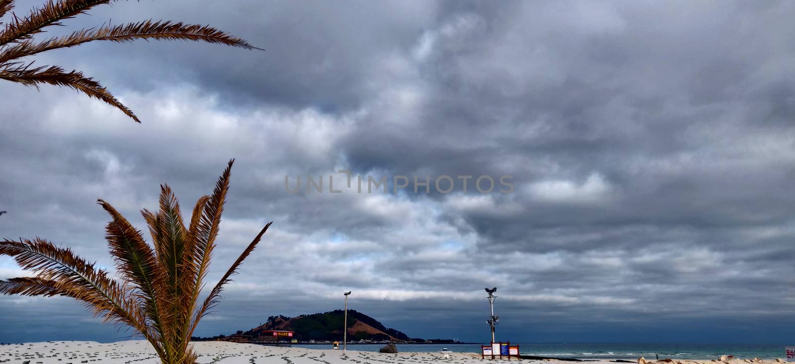 Cloudy sky with spike plant on beach in foreground in Jeju Island, South Korea