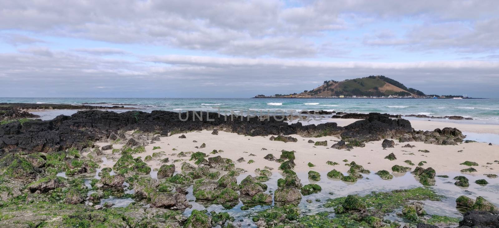 Volcanic rock on the shore of sand beach covered in green algae on Hyeopjae beach with mountain and cobalt blue sea in Jeju Island, South Korea