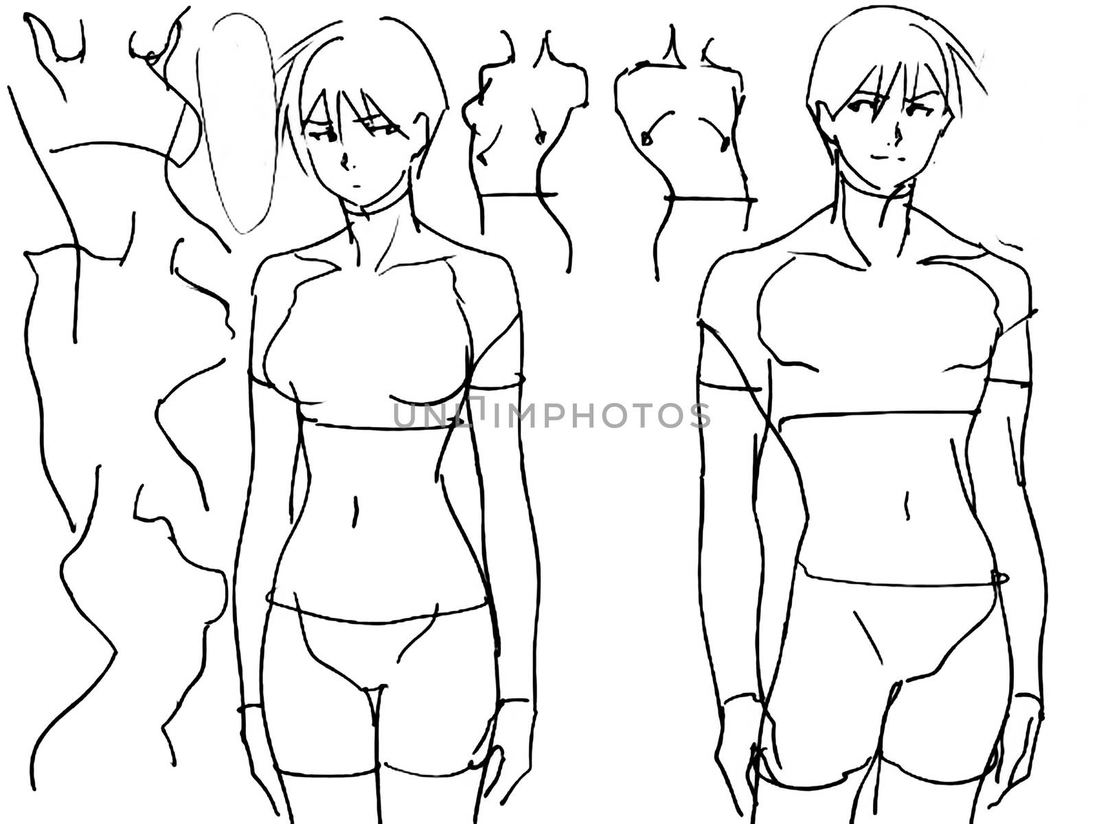 Tutorial of drawing a female body. Drawing the human body, step by step lessons.