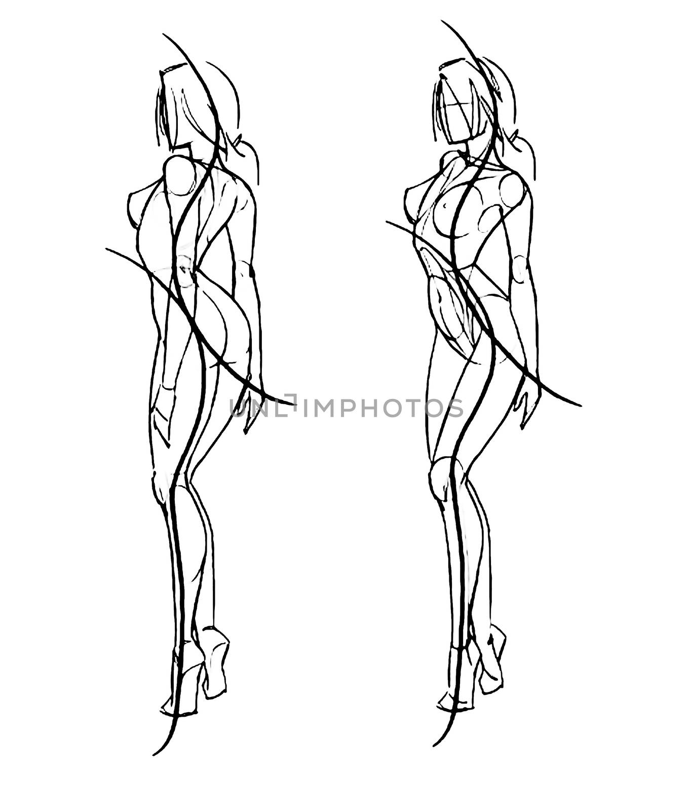 Tutorial of drawing a female body. Drawing the human body, step by step lessons.