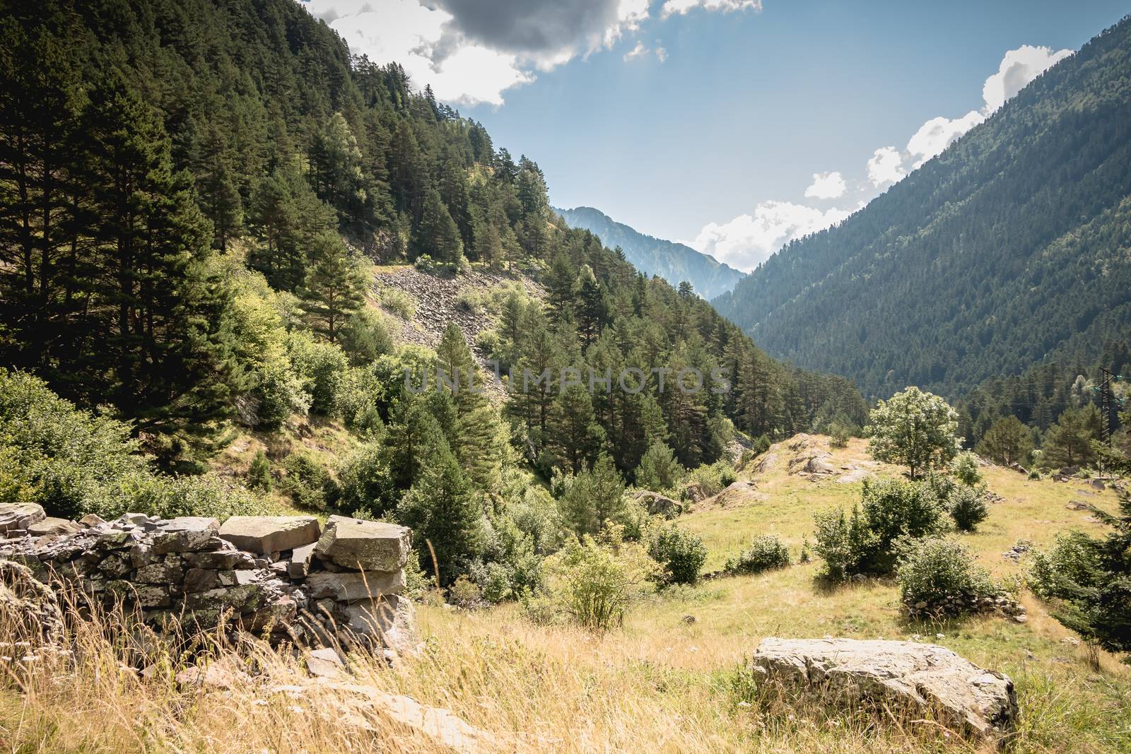 hiking path with trees and vegetation in the Pyrenees mountains by AtlanticEUROSTOXX