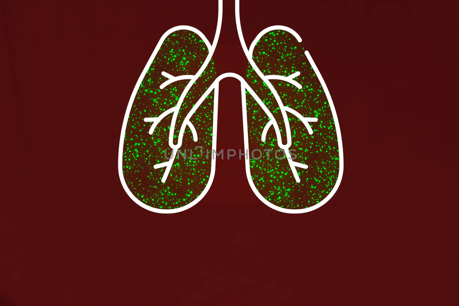 Lungs infected with coronavirus. Illustration of person's lungs. by DePo