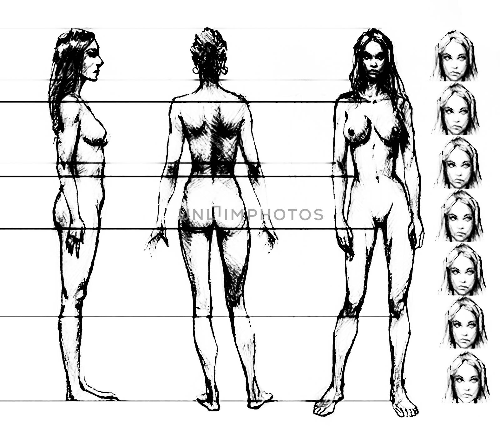 Tutorial of drawing a female body. Drawing the human body, step by step lessons.