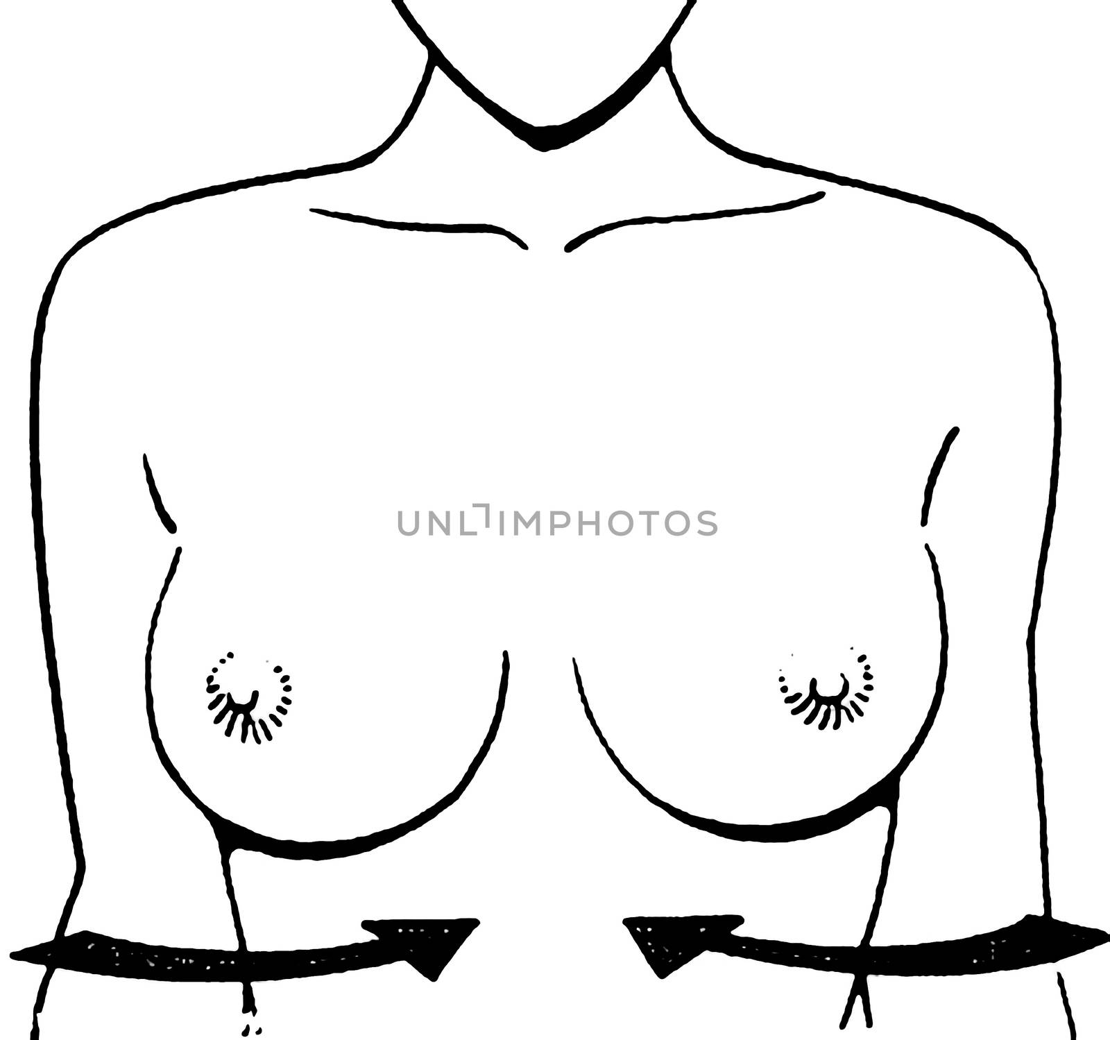 Female breast drawing tutorial. Drawing a woman's body with an emphasis on breasts. by DePo