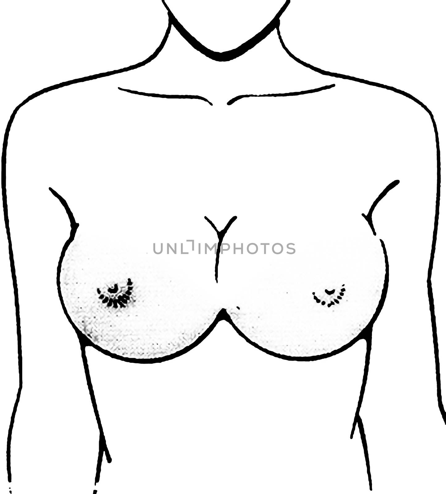 Female breast drawing tutorial. Drawing a woman's body with an emphasis on breasts. by DePo