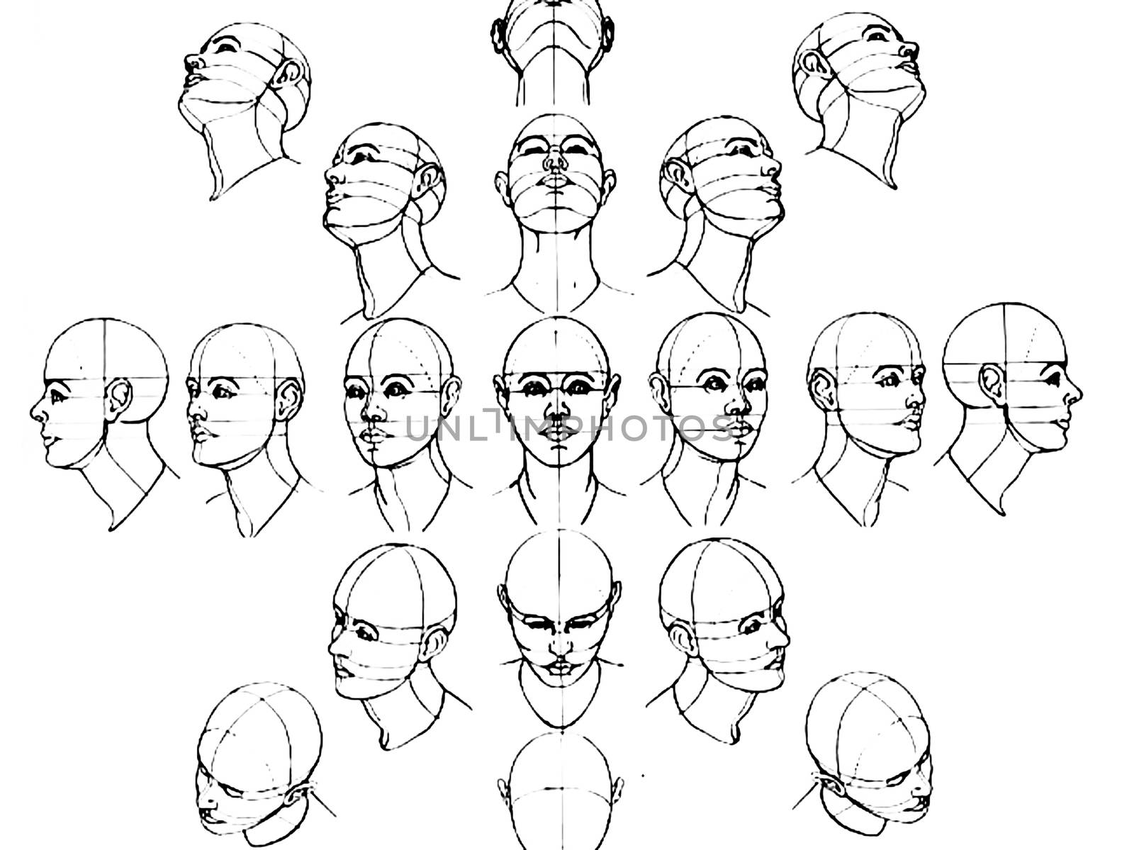 Stages of drawing human head. Illustration of drawing a head. by DePo