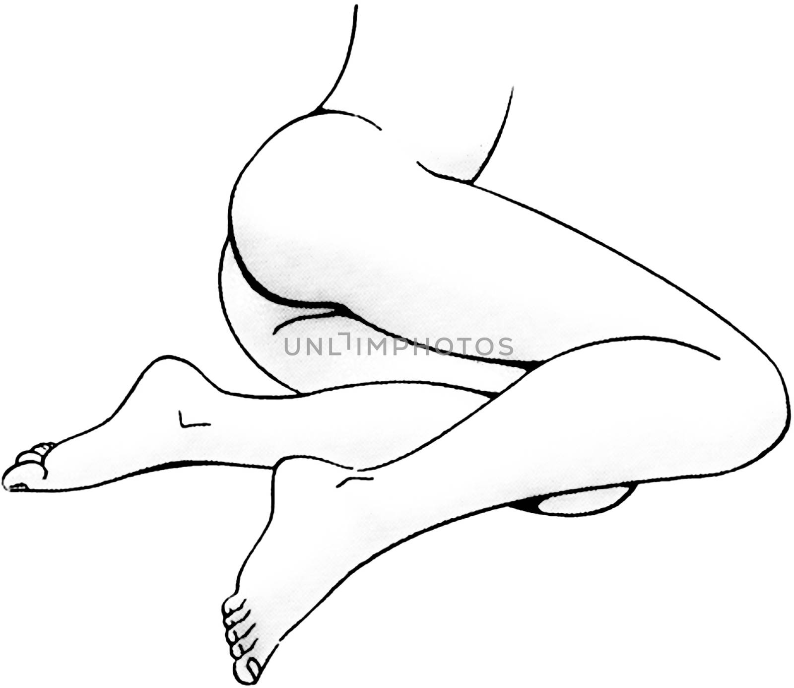 Tutorial of drawing a female body. Drawing the human body, step by step lessons.