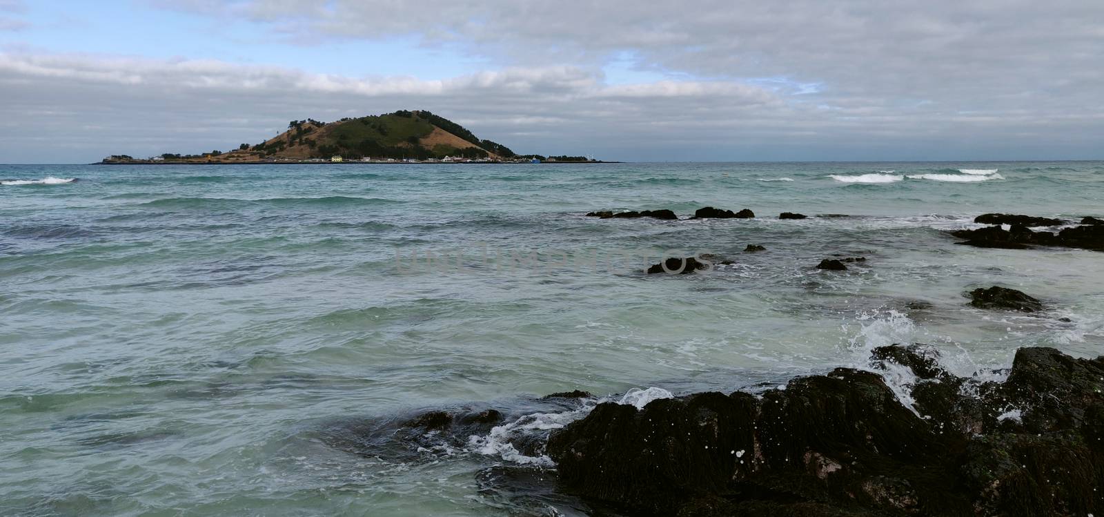 Waves in cobalt blue sea with black volcanic rocks on Hyeopjae beach with mountain in Jeju Island, South Korea