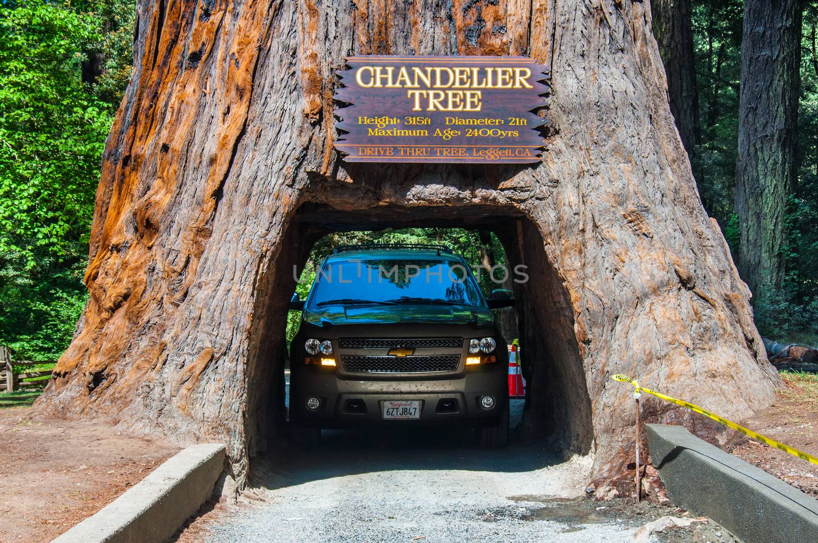 REDWOOD NP, CALIFORNIA, USA - MAY 21, 2013: Famous attraction of the Redwood National Park - a drive through tree.