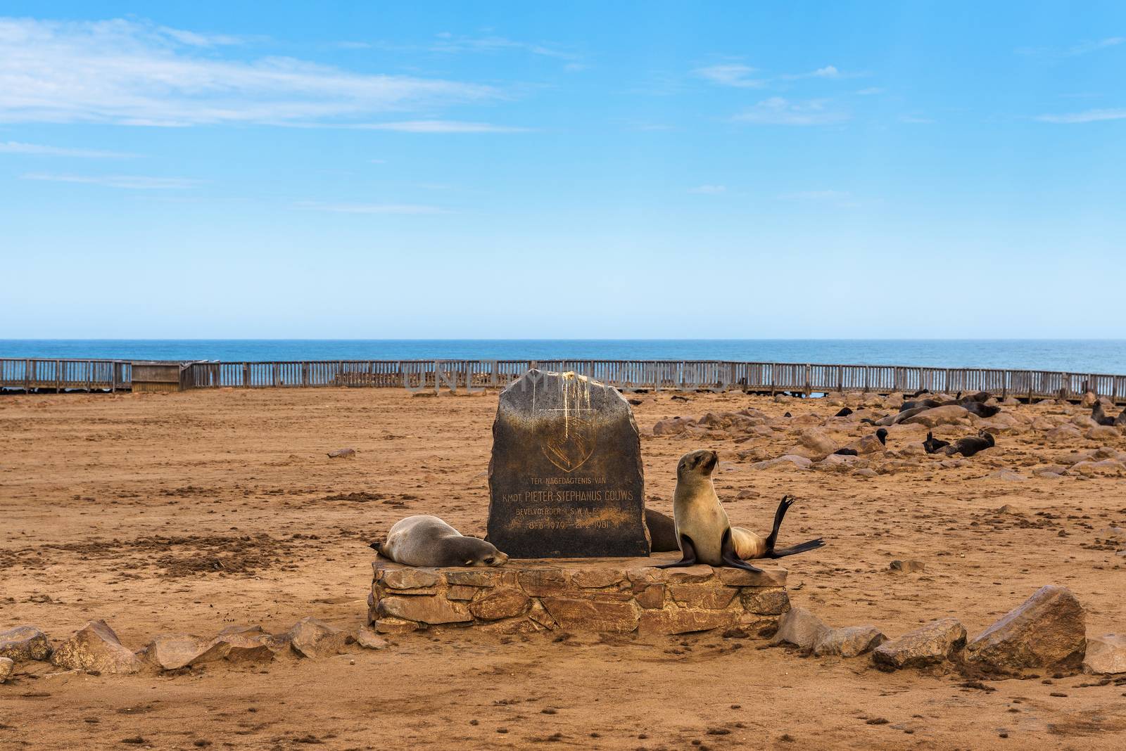 Cape Cross, Namibia - March 30, 2019 : Seals at the Cape Cross Seal Reserve in Namibia and its entry sign with text In memory of kmdt. Pieter Stephanus Gouws.