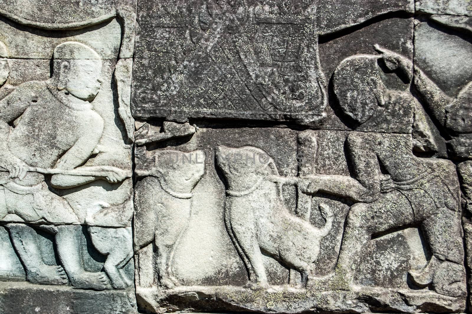 Ancient Khmer bas relief carving of two boars about to be baited into fighting. Wall of Bayon Temple, Angkor Thom, Siem Reap, Cambodia