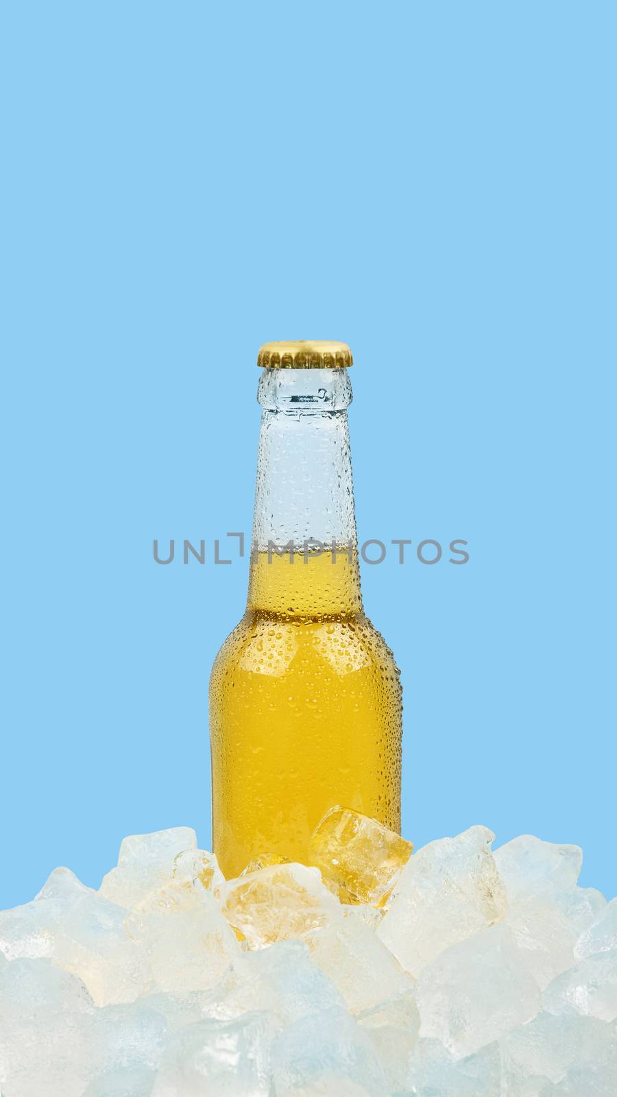 Close up one clear glass bottle of cold lager beer on ice cubes at retail display isolated on blue background, low angle side view