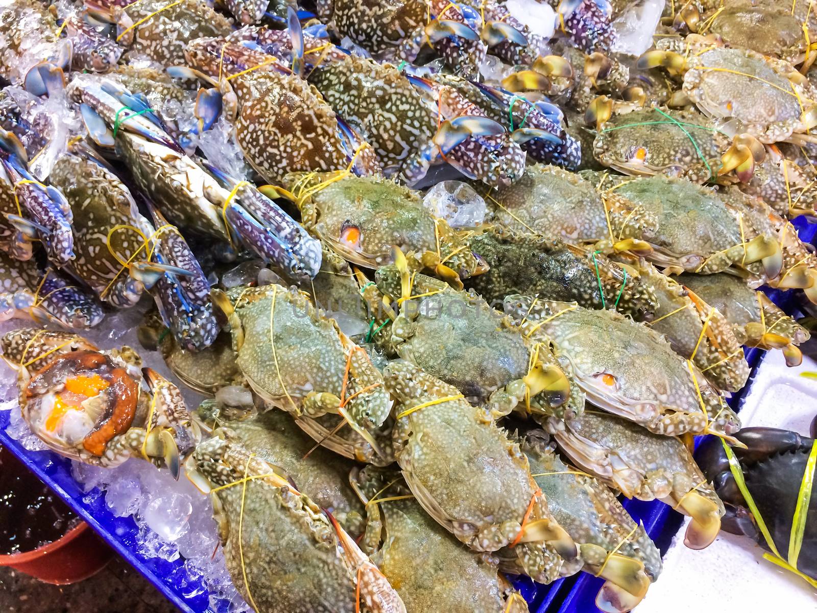 Fresh Portunus pelagicus on a tray and container with ice on crab in market and is popular of tourist for select buy seafood. by prapstock