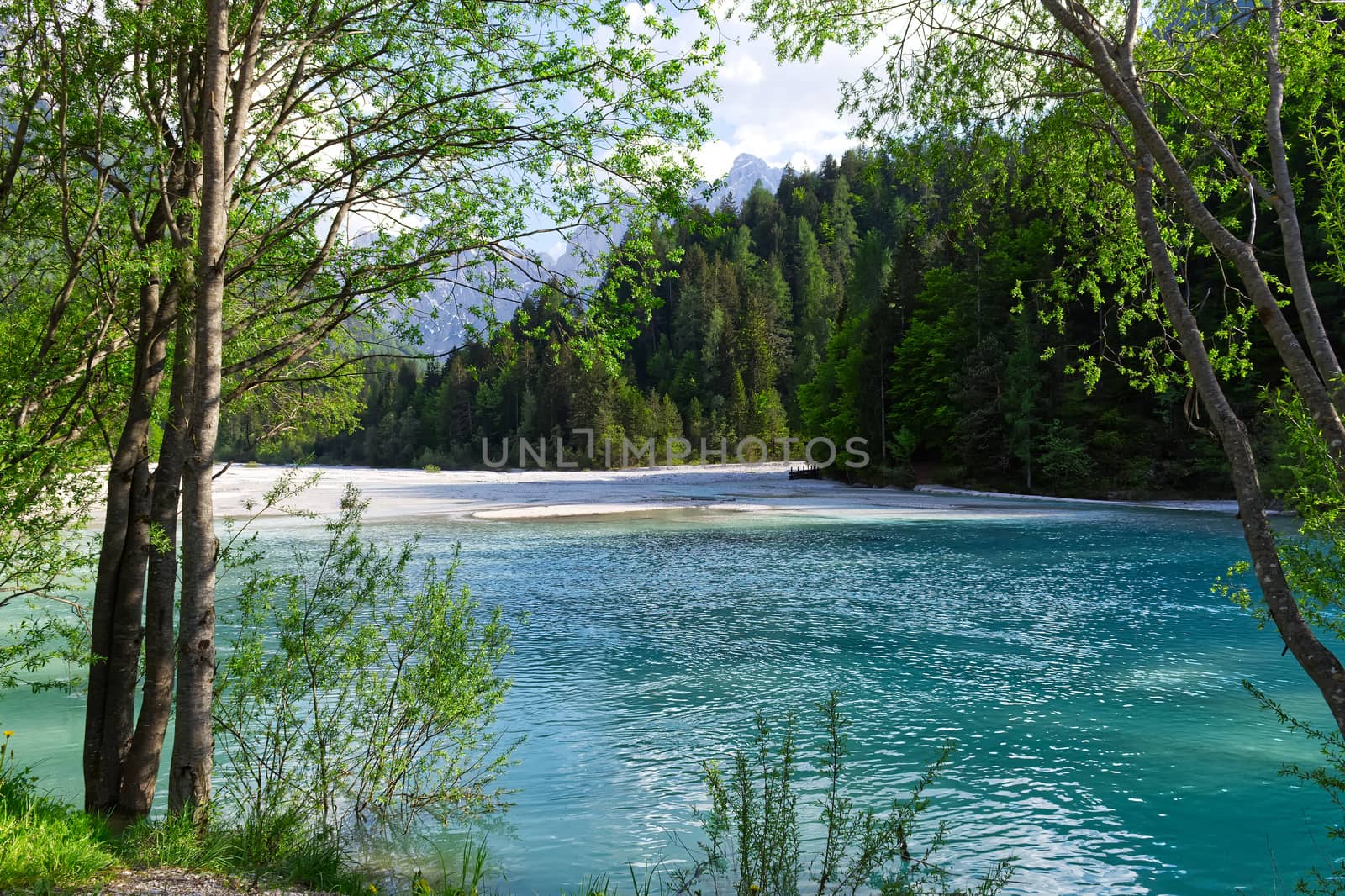 Blue river and green forest in Julian Alps. Kranjska Gora, Slovenia