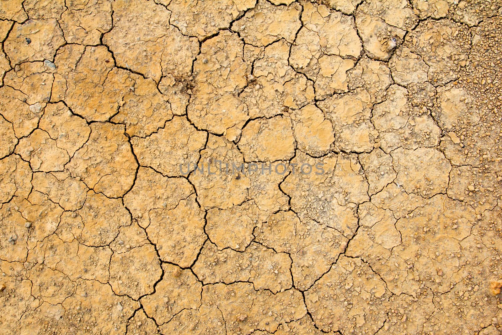 Cracked dry brown soil background, global warming effect by Hengpattanapong