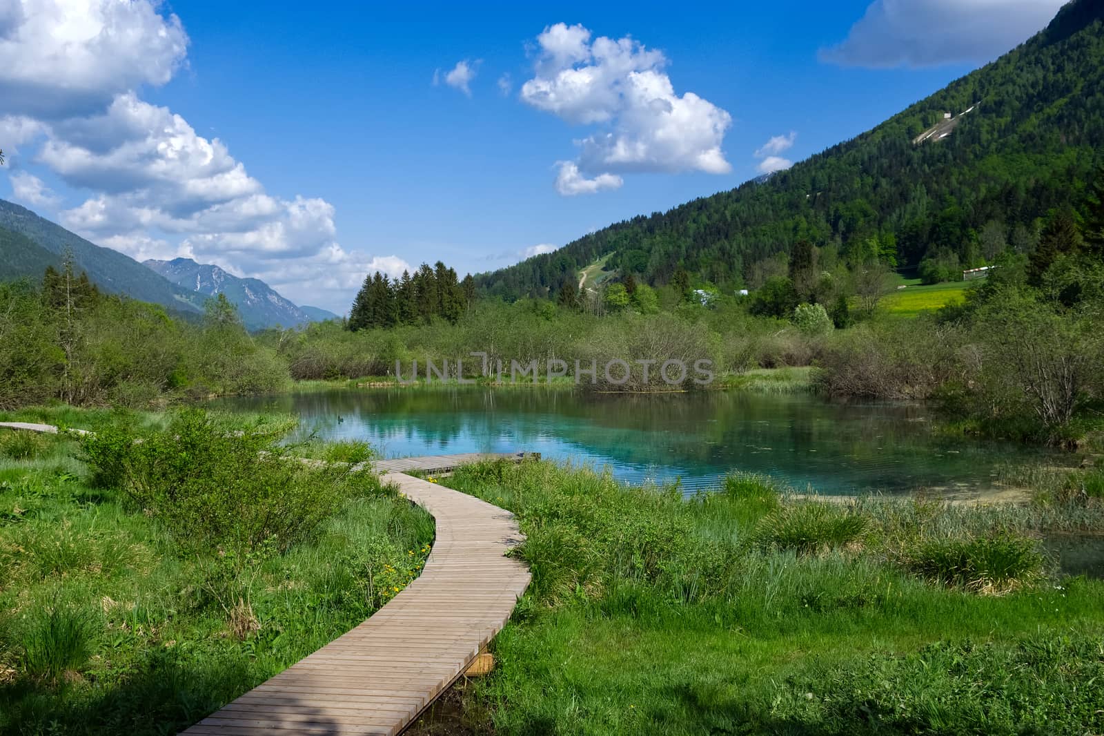 Green and blue water lake landscape, Sava river source in Slovenia