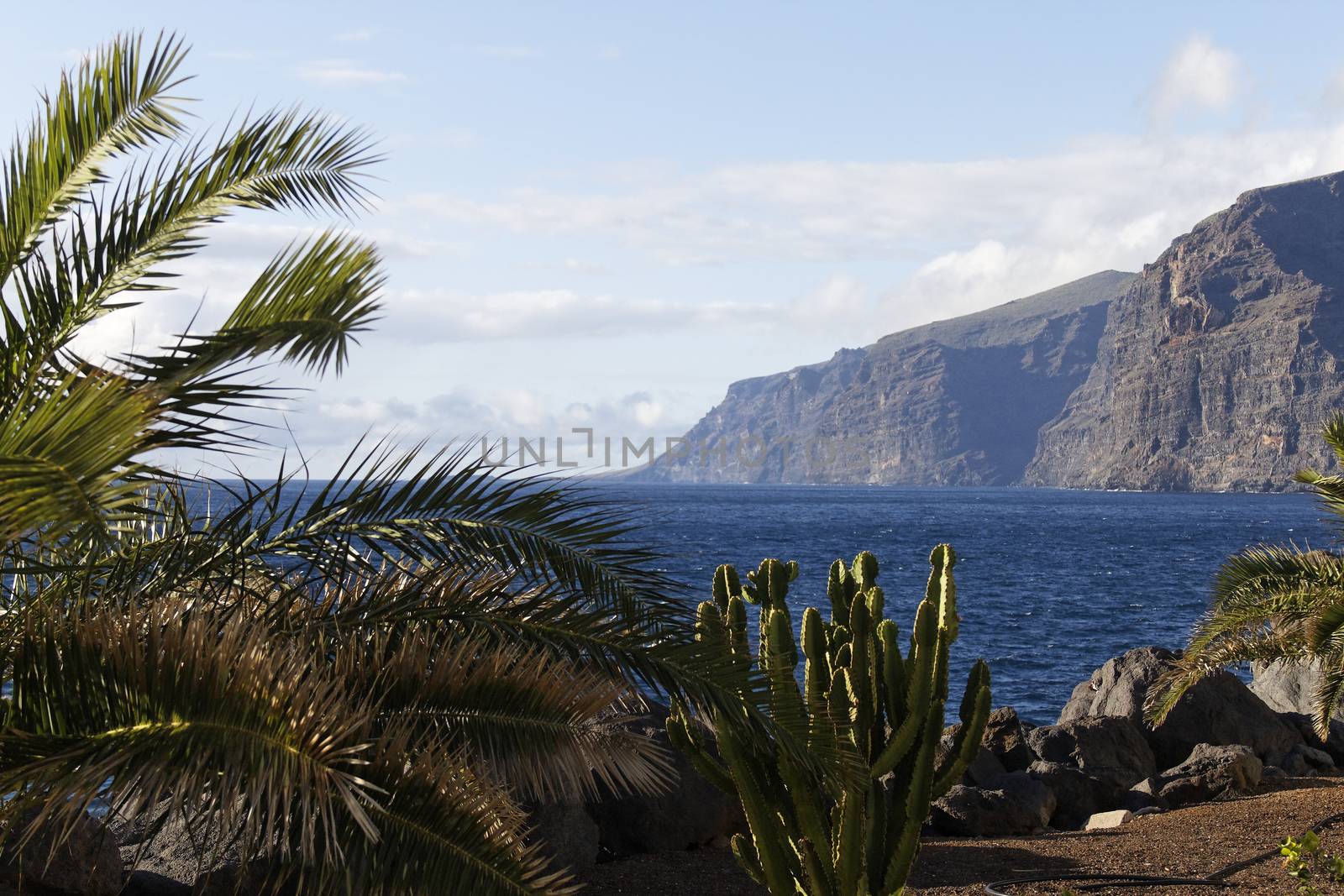 Tenerife by Bullysoft