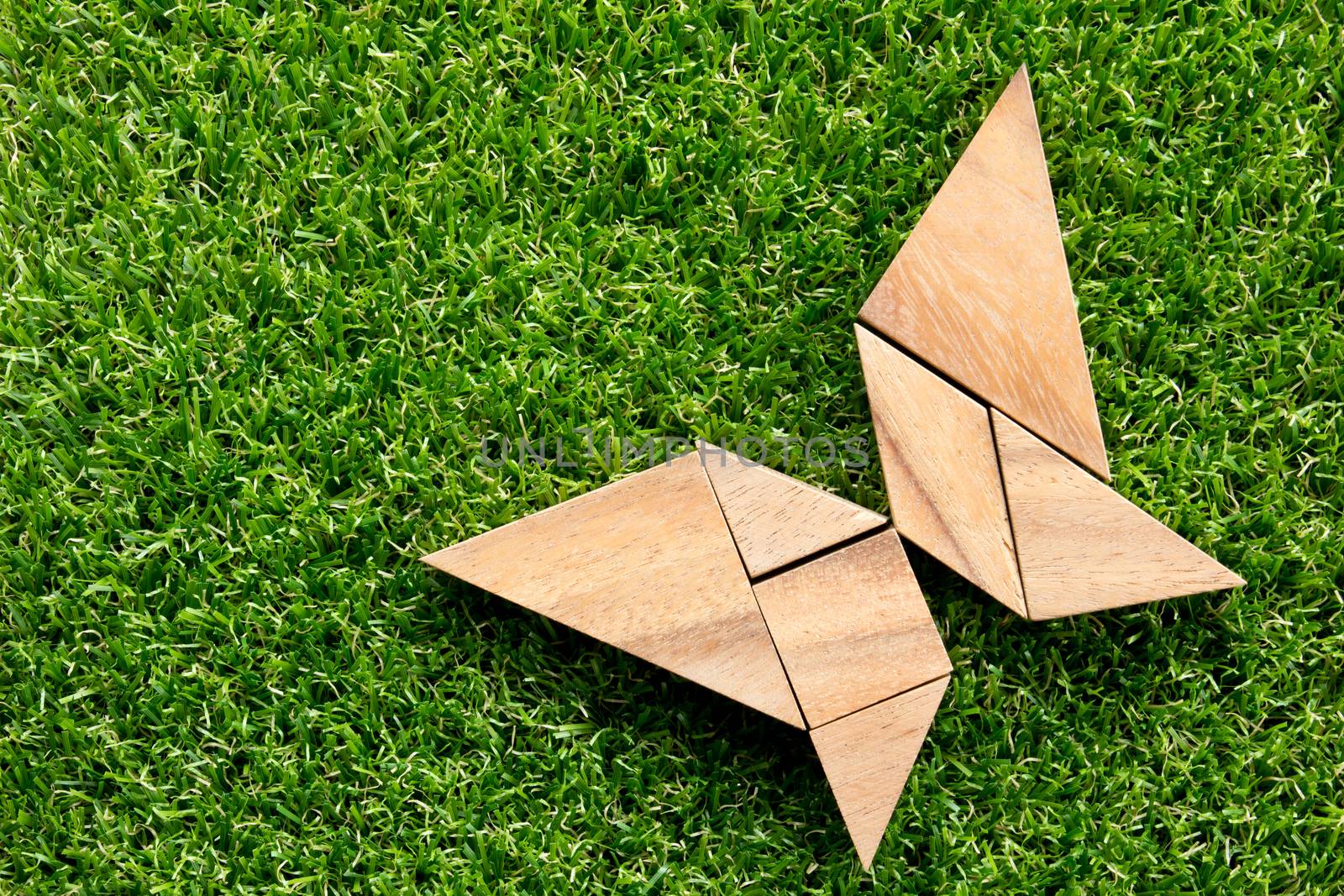 Wooden tangram puzzle in flying butterfly shape on green grass background