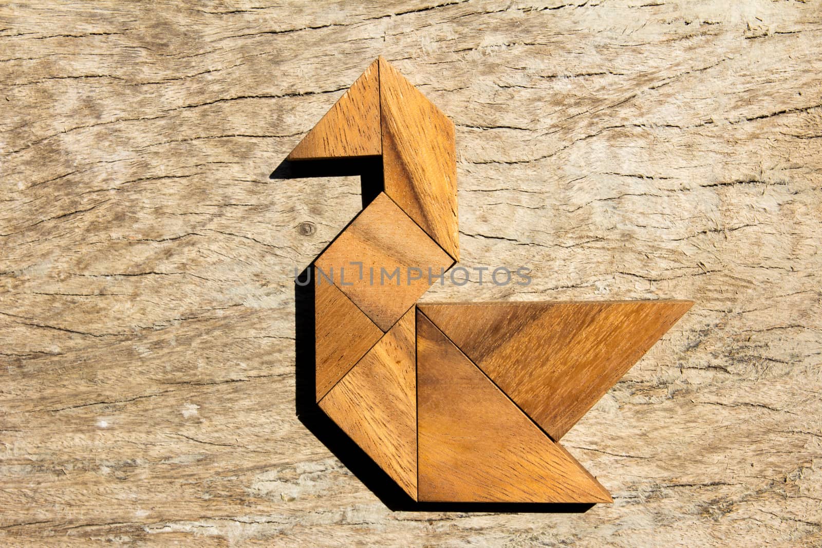 Wooden tangram puzzle in swan shape background by Hengpattanapong