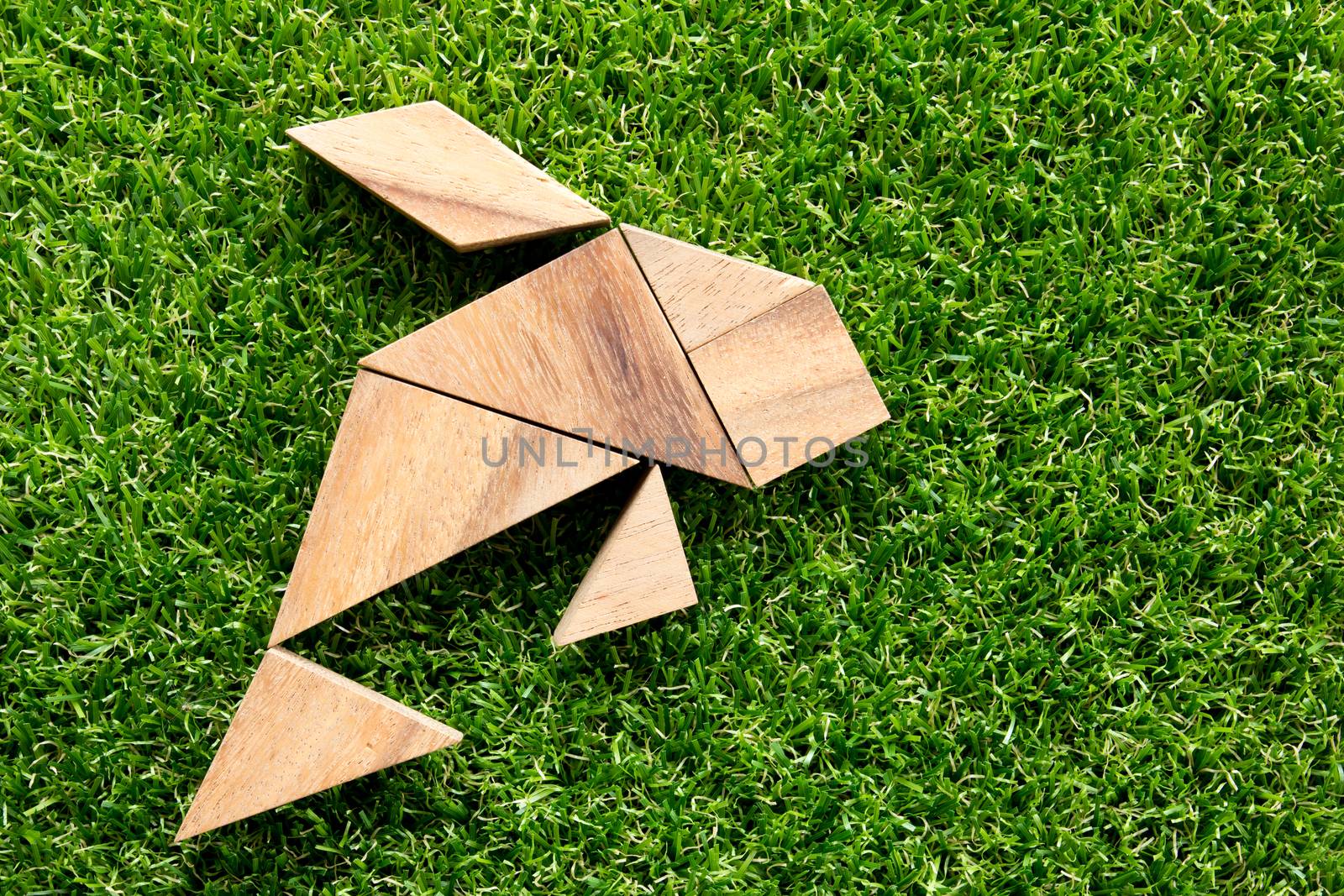 Wooden tangram puzzle in fish shape on green grass background
