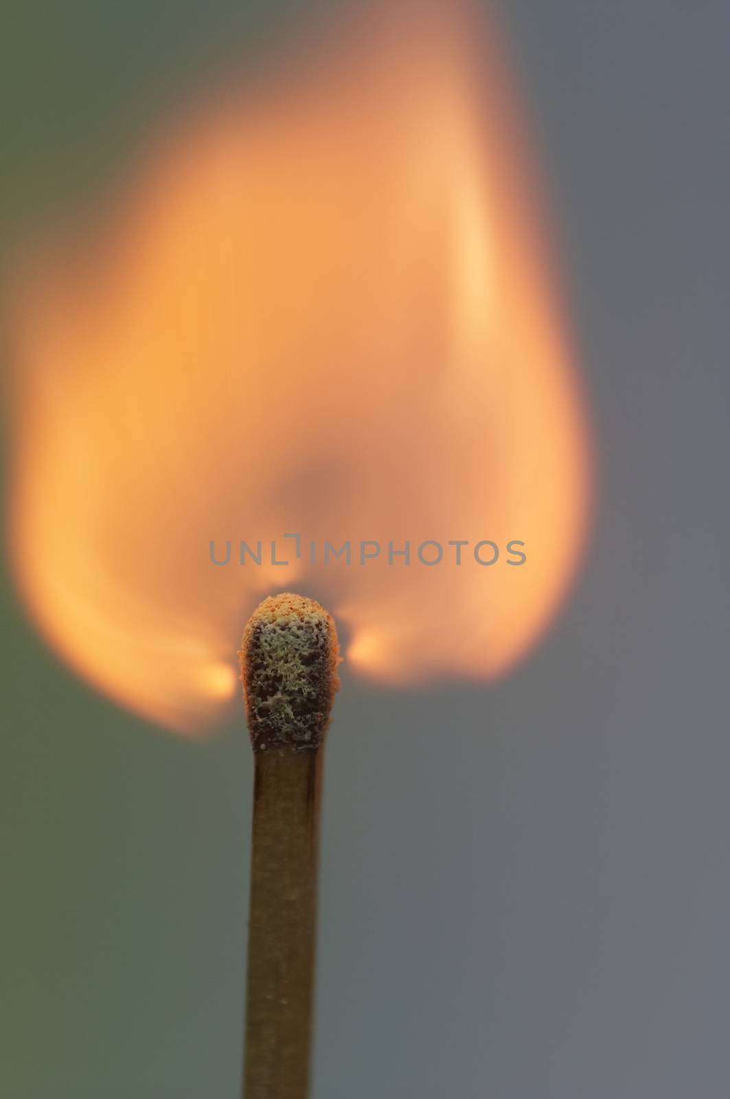 close-up of a burning match