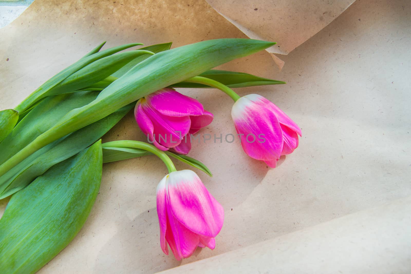 A bouquet of three pink tulips in Kraft paper. The view from the top. A copy of the space. Presentation template.