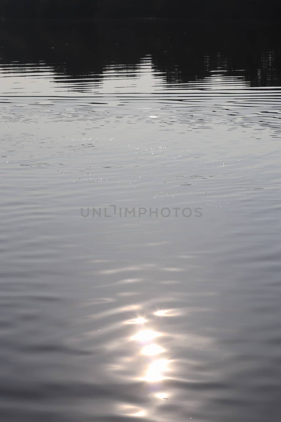 Detailed close up view on water surfaces with waves and ripples and the sunlight reflecting at the surface
