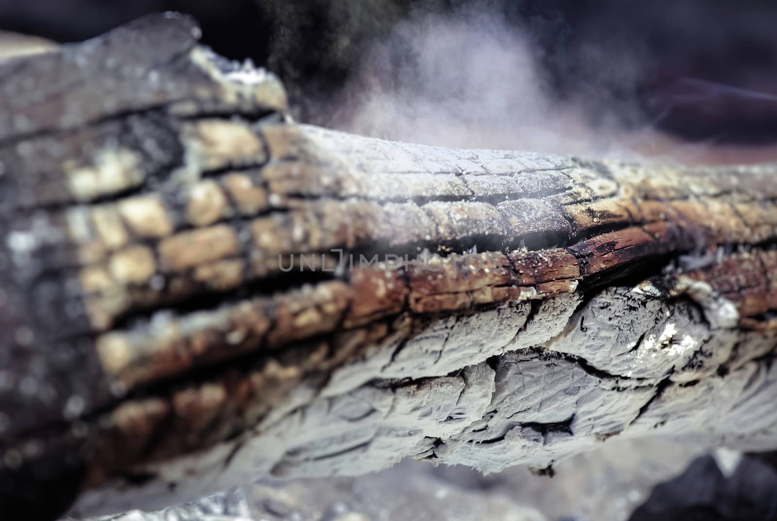 Smoke emitted from a burnt log. Close up with selective focus.