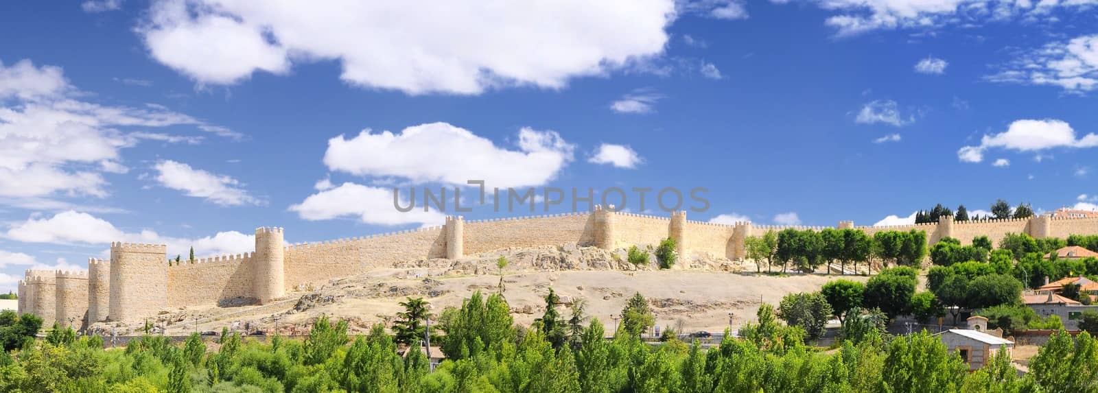 View walls of Avila city in Spain.