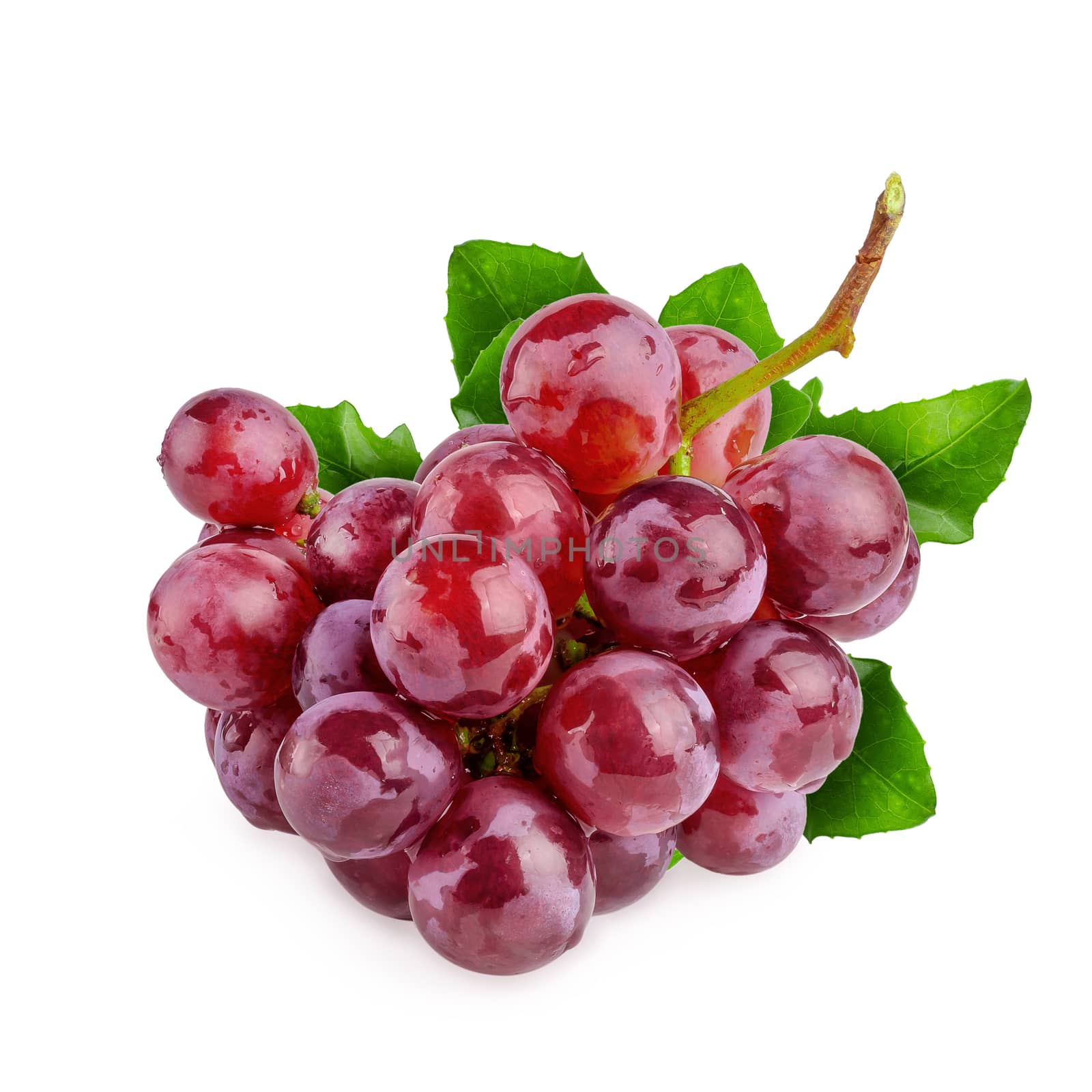 Red Grapes isolated on a white background by kaiskynet