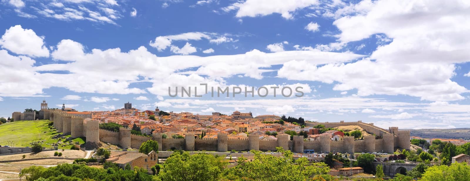 View walls of Avila city in Spain.