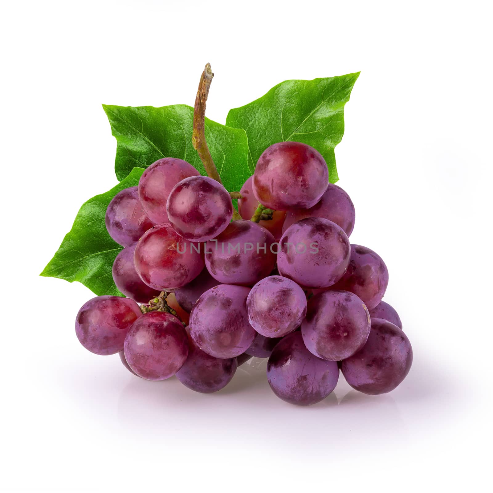 Red Grapes isolated over the white background.