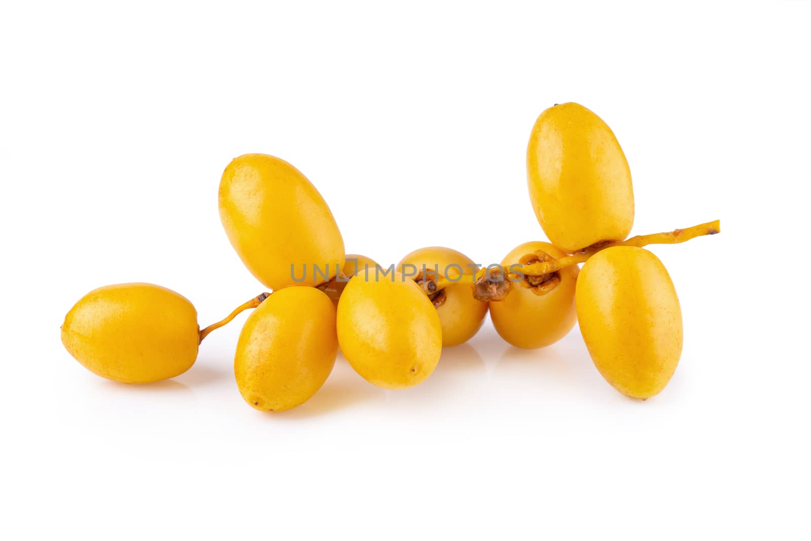 yellow raw date palm isolated on white background by kaiskynet