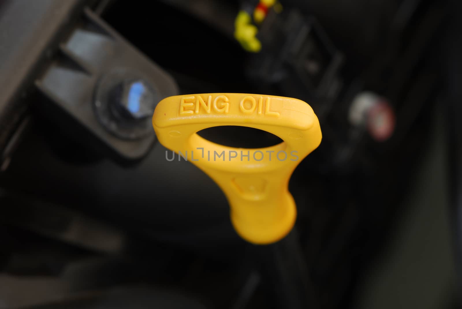 Check the oil level in engine close up