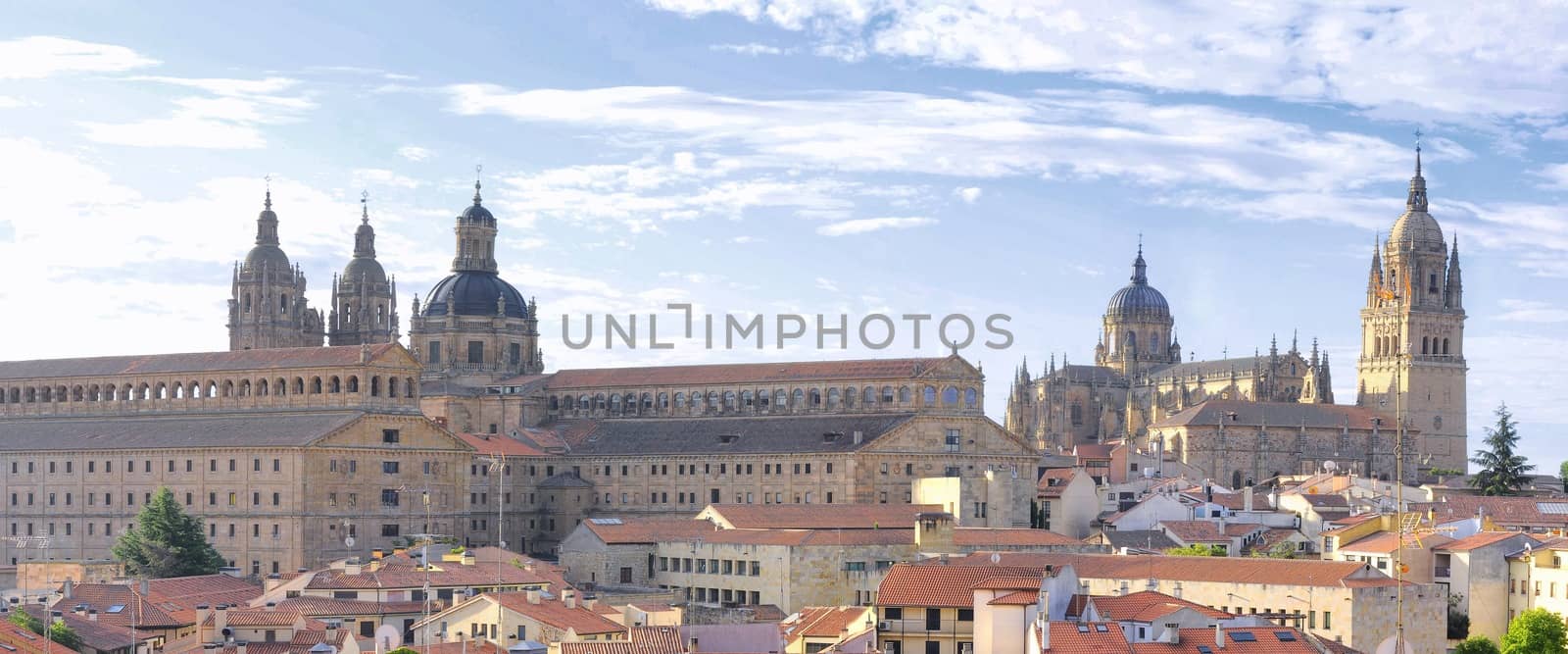 View of the Cathedral of Salamanca and Clerecia towers.