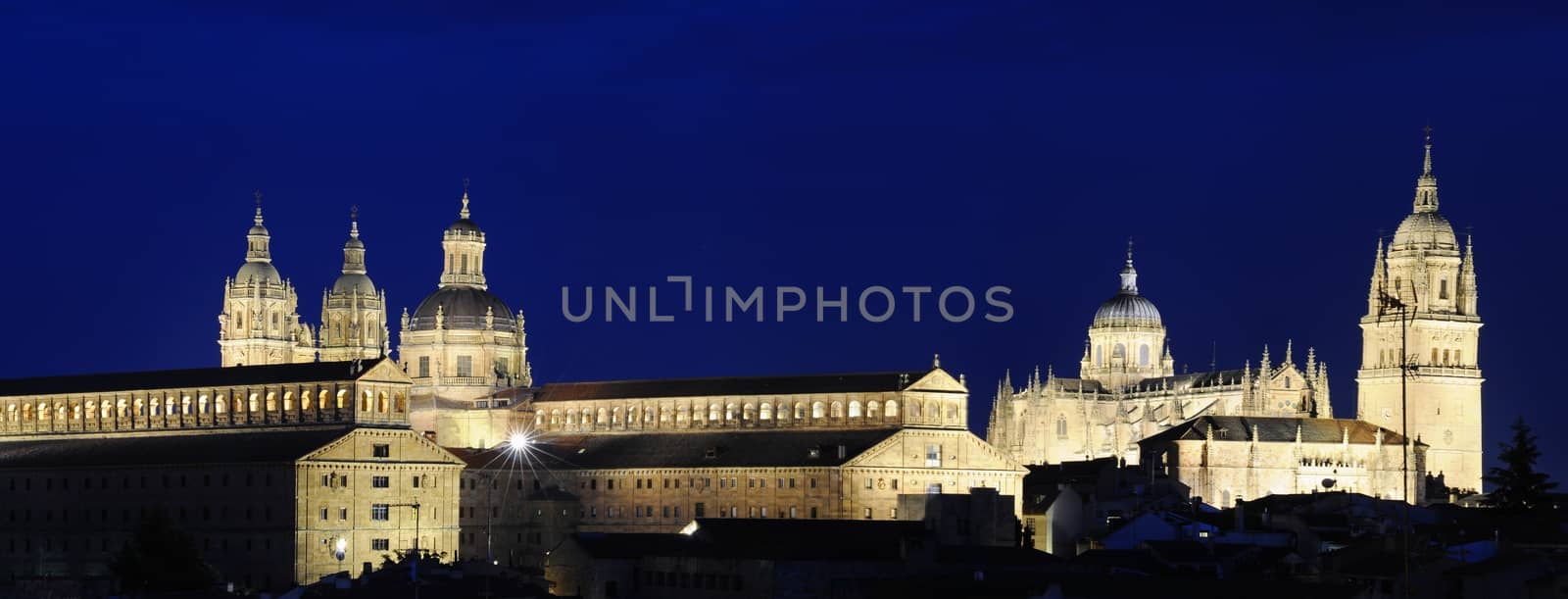 Night view of the Cathedral of Salamanca and Clerecia towers.