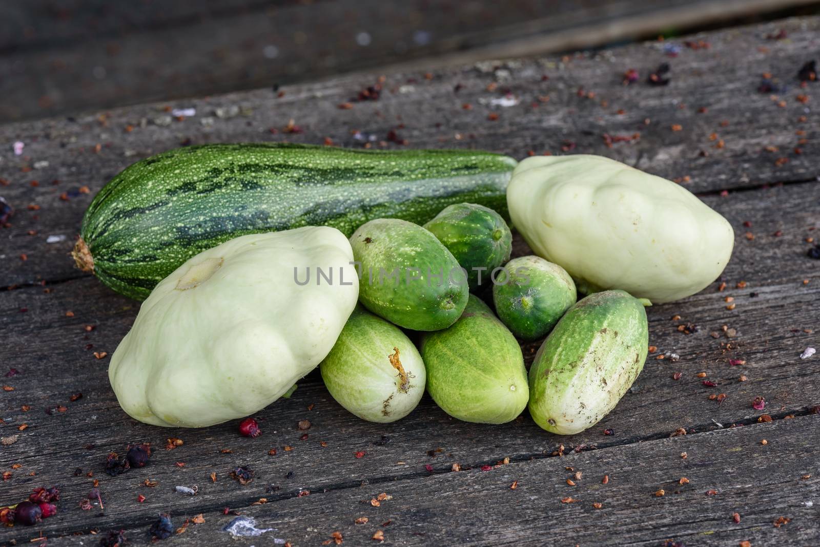 Zucchini, two pattypan squash and few cucumbers harvested from the vegetable garden beds lie on the wooden table