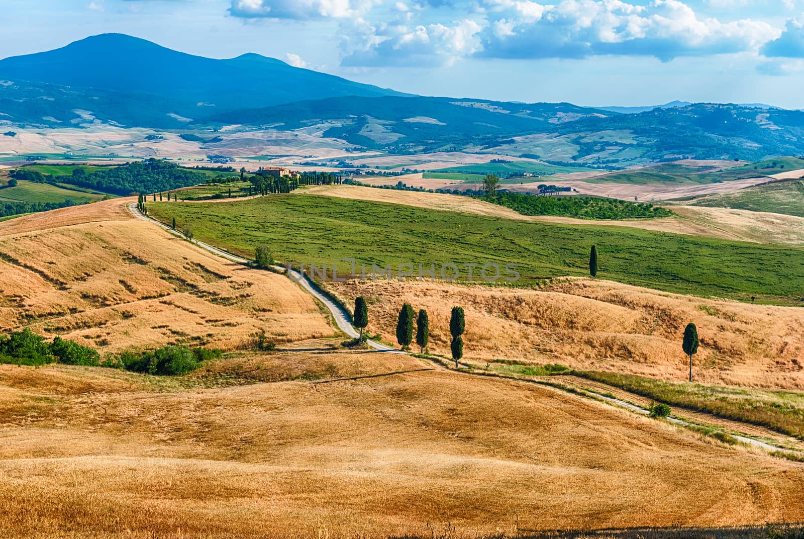 Landscape of dry fields in the countryside in Tuscany, Italy by marcorubino