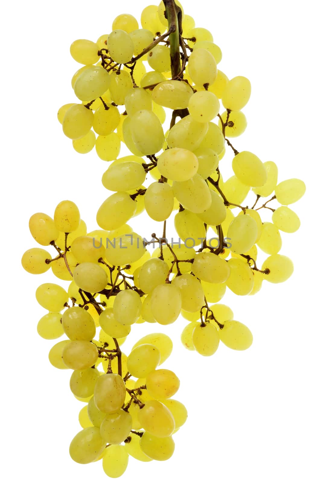 Ripe bunch of green grapes isolated on a white background.