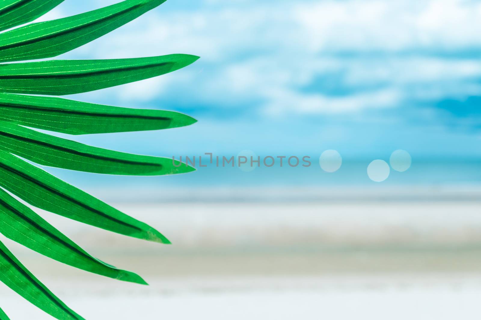 Tropical monstera leaf on summer beach background concept.
